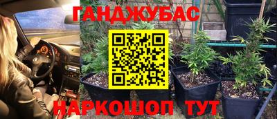 тгк Кандалакша