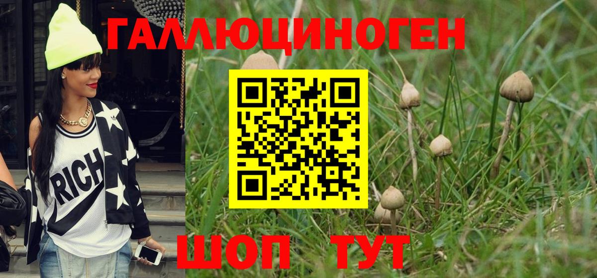 Псилоцибиновые грибы Psilocybine cubensis  Вход с VPN  Карпинск 